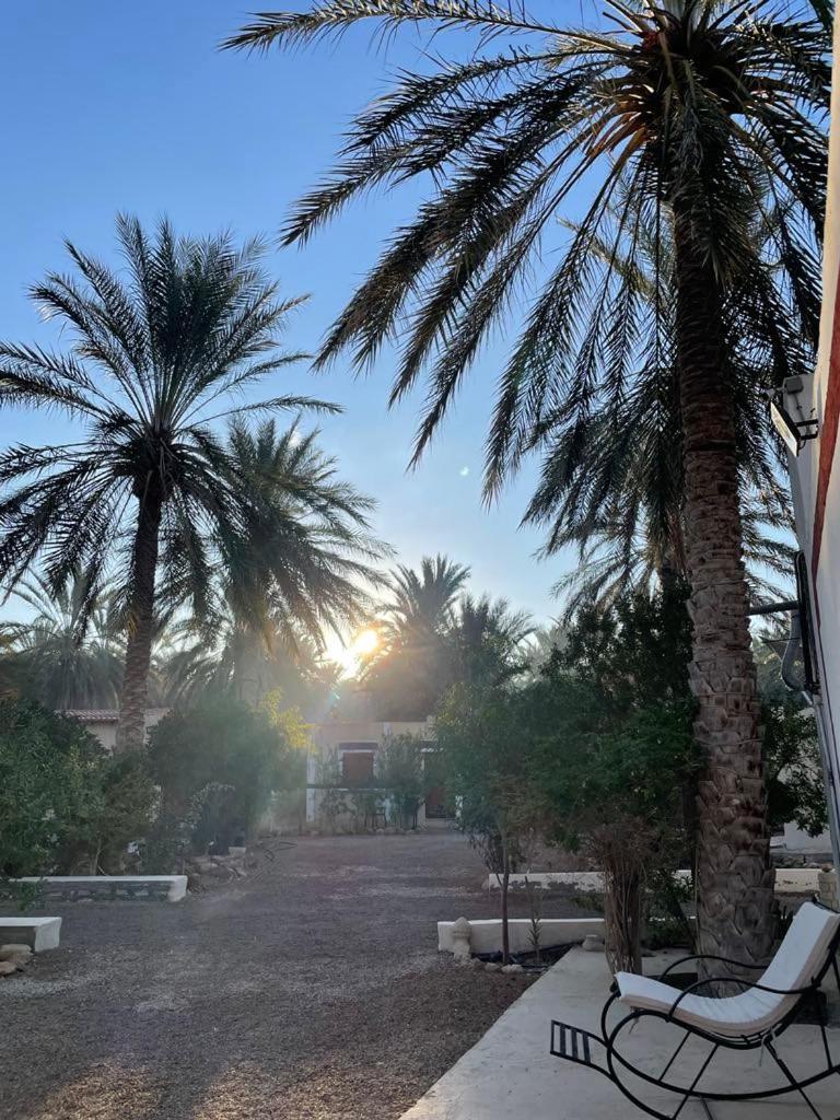 Hotel Dar Barka à Kebili Extérieur photo