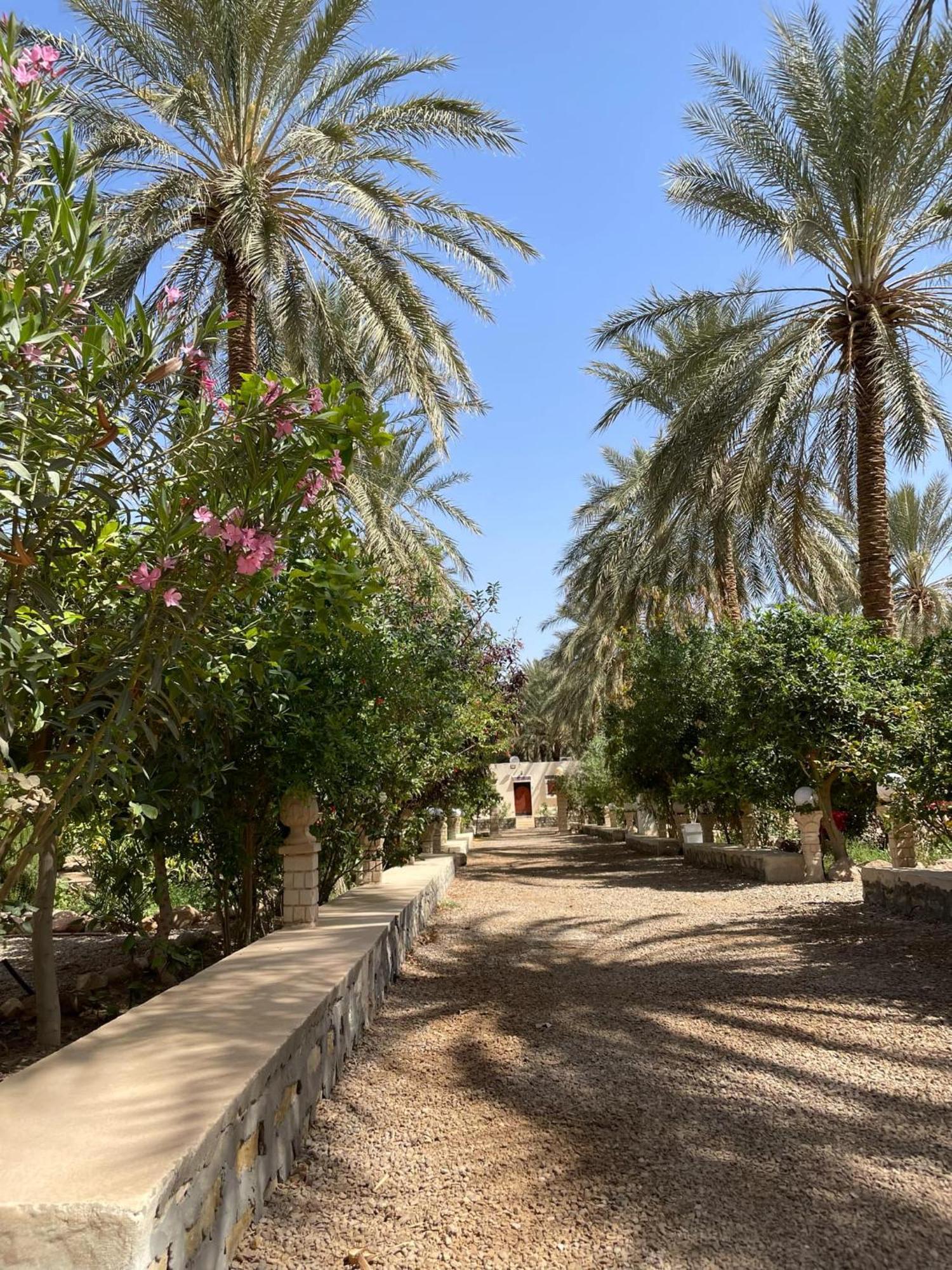 Hotel Dar Barka à Kebili Extérieur photo
