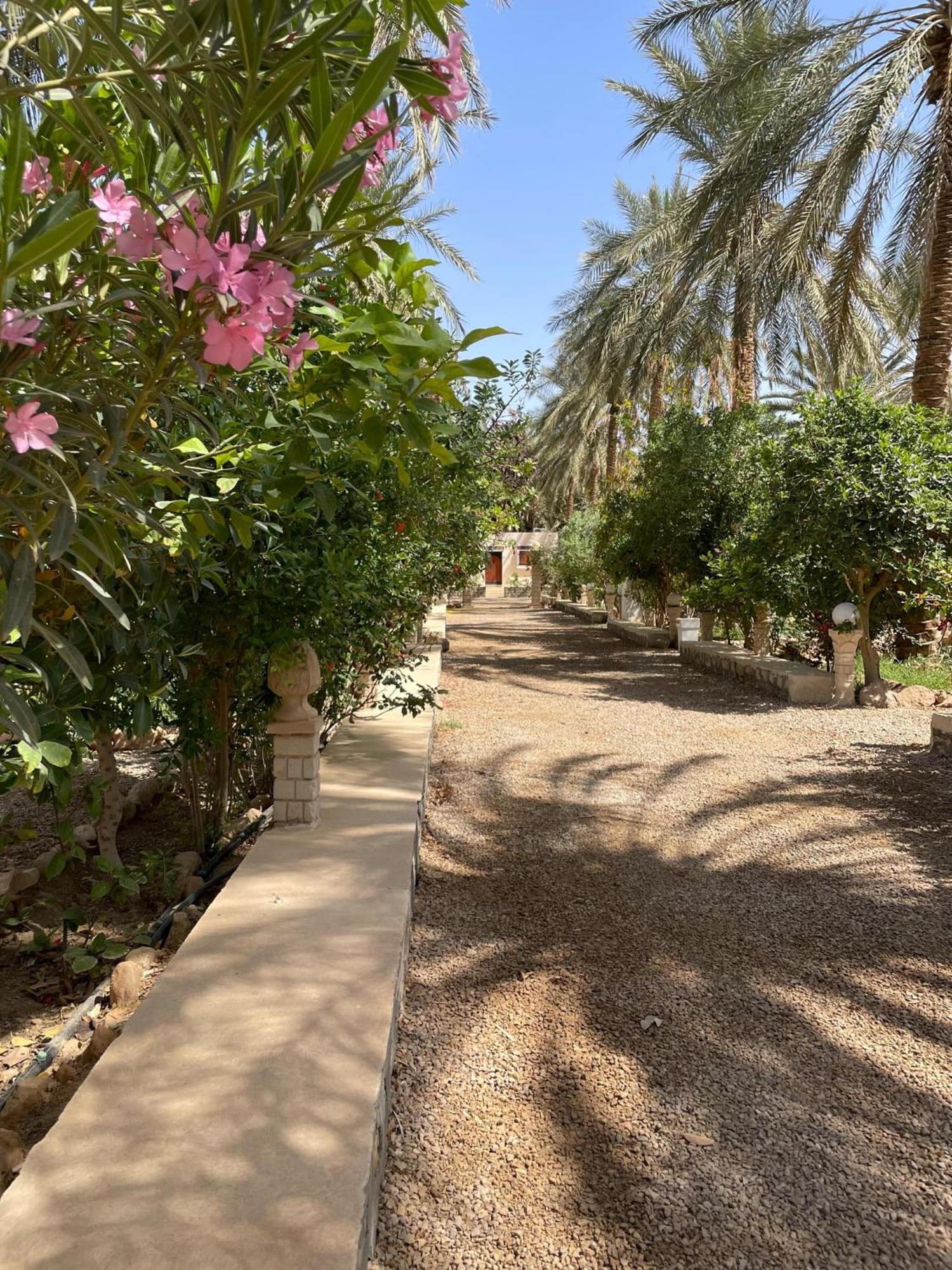 Hotel Dar Barka à Kebili Extérieur photo